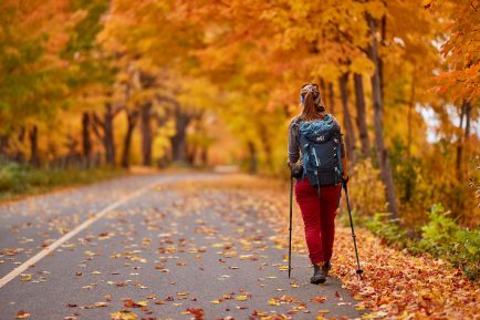 Fall Colours Season